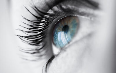 Mirada al 2025: Un año decisivo para la gestión de personas y la digitalización del área de RRHH